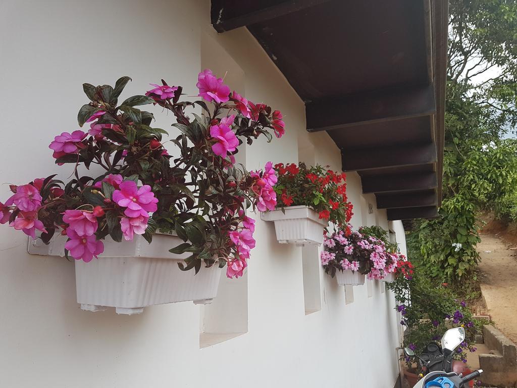 Gruenberg Tea Plantation Haus Bed & Breakfast Munnar Ngoại thất bức ảnh