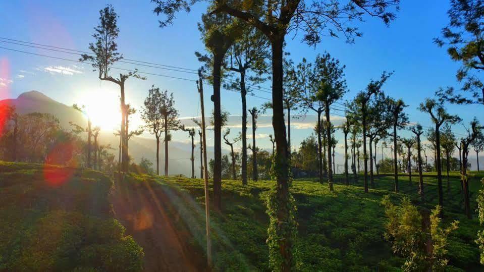 Gruenberg Tea Plantation Haus Bed & Breakfast Munnar Ngoại thất bức ảnh