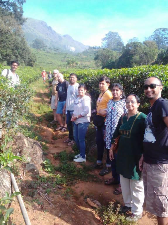 Gruenberg Tea Plantation Haus Bed & Breakfast Munnar Ngoại thất bức ảnh
