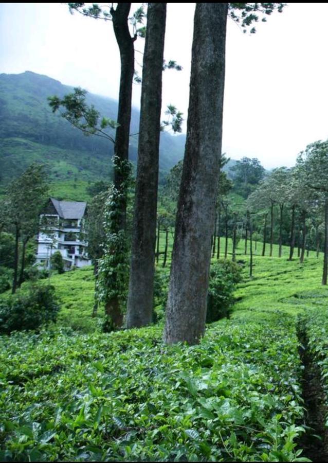 Gruenberg Tea Plantation Haus Bed & Breakfast Munnar Ngoại thất bức ảnh