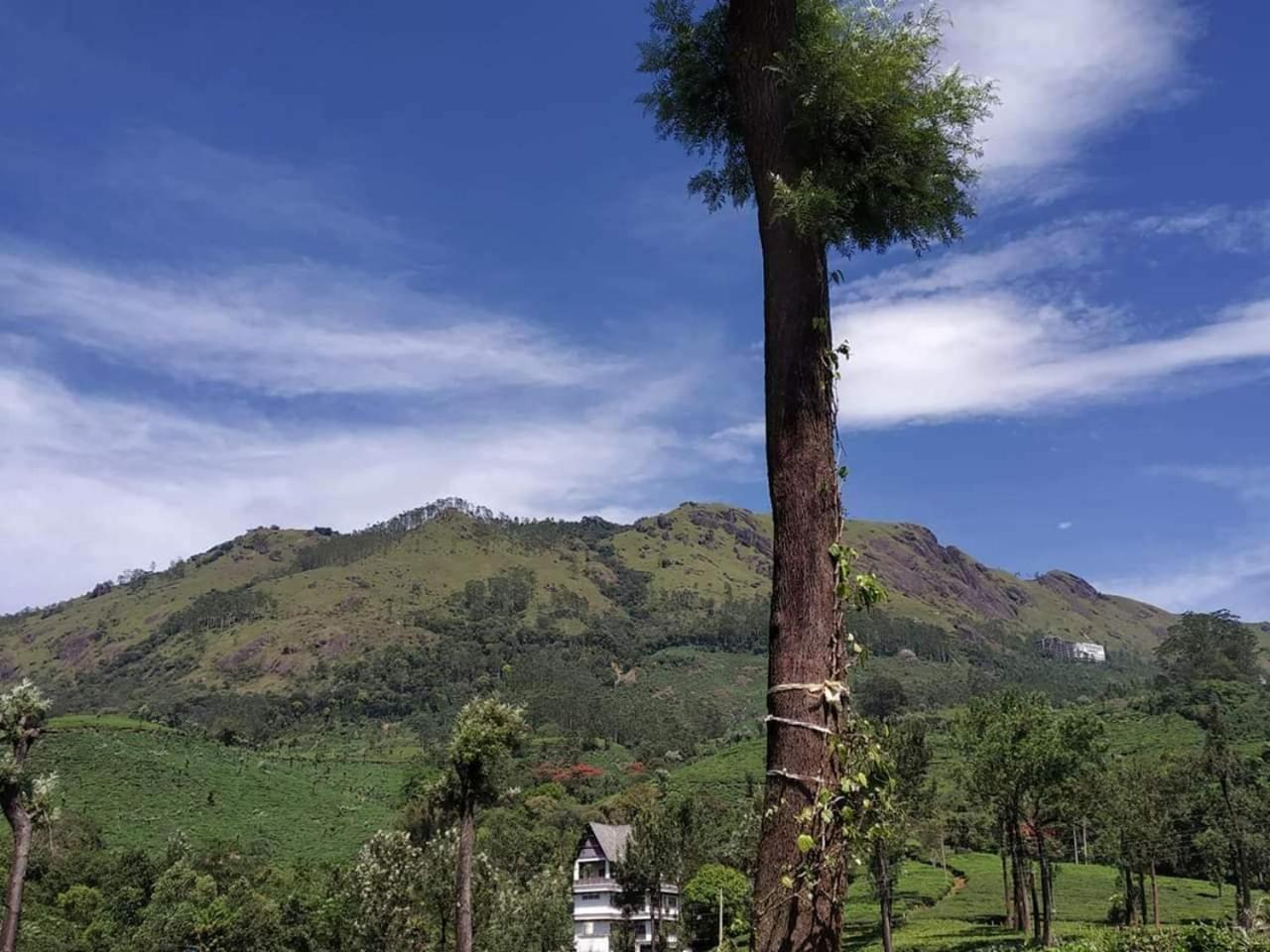 Gruenberg Tea Plantation Haus Bed & Breakfast Munnar Ngoại thất bức ảnh